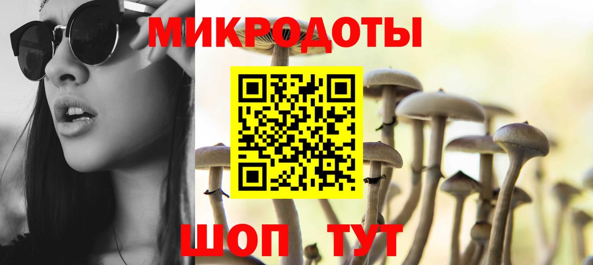 Псилоцибиновые грибы MAGIC MUSHROOMS  магазин продажи   Каменка  Вход с VPN 