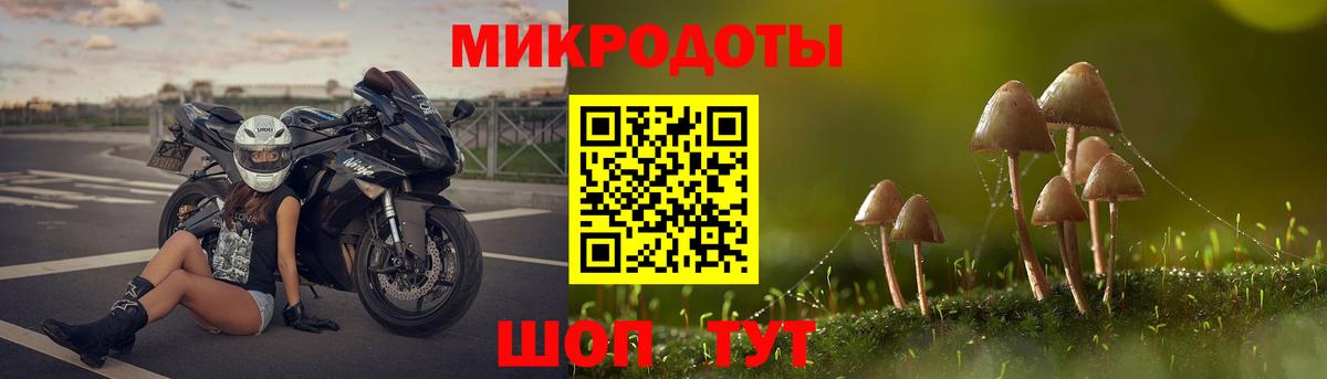 Галлюциногенные грибы Psilocybine cubensis Каменка